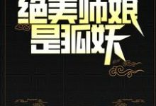 阴阳先生：绝美师娘是狐妖小说，阴阳先生：绝美师娘是狐妖陈九胡眉-推书帮