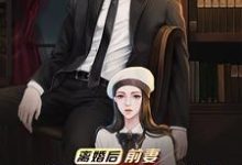 小说《离婚后，前妻跪求我复婚》章节阅读-推书帮