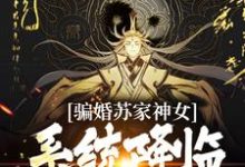 已完结小说《骗婚苏家神女，系统降临上古神瞳》章节免费阅读-推书帮