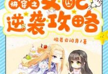 完结版《快穿之女配逆袭攻略》章节阅读-推书帮