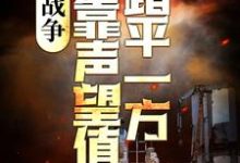 完结版《战争：我靠声望值踏平一方》章节阅读-推书帮