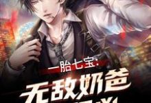 完结版《一胎七宝：无敌奶爸超级凶》在线免费阅读-推书帮