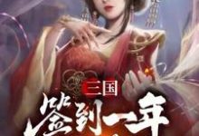 卫宁王异小说叫什么（三国：签到一年续娶蔡文姬免费阅读）-推书帮