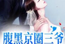 完结版《腹黑京圈三爷，只对她心动》章节阅读-推书帮