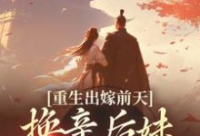 完结版《重生出嫁前天，换亲后妹妹悔疯了》章节阅读-推书帮