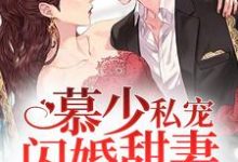 完结版《慕少私宠闪婚甜妻》章节阅读-推书帮