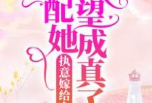 小说《执意嫁给乡里汉，女配她愿望成真了》章节阅读-推书帮