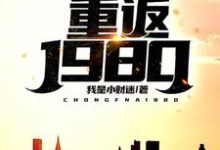 郭刚刘晓园为主角的小说好看吗？免费读重返1980-推书帮