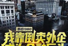 完结版《重返1980：我靠倒卖外企成为金融巨头》章节目录在线阅读-推书帮