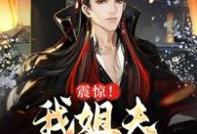 《震惊！我姐夫是朱元璋》全集免费在线阅读（李淳风）-推书帮