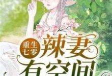 《重生七零辣妻有空间》小说大结局免费试读 林敏许文昌小说-推书帮