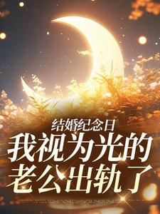 《结婚纪念日，我视为光的老公出轨了》全集免费在线阅读（尹禾月宋屿舟）