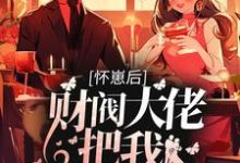 完结版《怀崽后，财阀大佬把我娶回家》章节阅读-推书帮