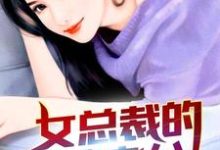 完结版《女总裁的冒牌老公》章节阅读-推书帮