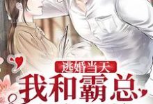 完结版《逃婚当天，我和霸总灵魂互换》章节阅读-推书帮