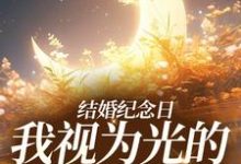 完结版《结婚纪念日，我视为光的老公出轨了》章节阅读-推书帮