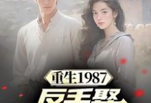 完结版《重生1987，反手娶小姨子真香》在线免费阅读-推书帮