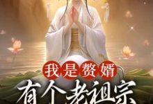 《我是赘婿，有个老祖宗娘子很合理吧》全集免费在线阅读（江平安骆冰云）-推书帮