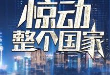 完结版《我一通电话，惊动整个国家》章节阅读-推书帮