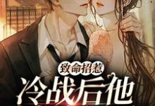 完结版《致命招惹：冷战后他靠撒娇求和》免费阅读-推书帮