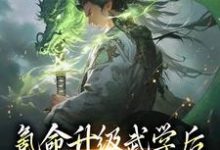 小说《氪命升级武学后，我砍妖王拿寿元》在线章节阅读-推书帮