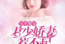 完结版《天才萌宝：君少娇妻惹不起》章节目录在线阅读-推书帮