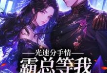 完结版《光速分手，霸总等我给名分》在线免费阅读-推书帮