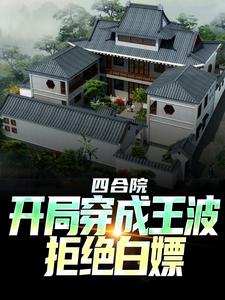 四合院：开局穿成王波，拒绝白嫖小说完结版章节免费阅读