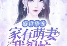 完结版《盛世挚宠：家有萌妻我很忙》章节目录在线阅读-推书帮