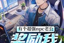 小说完整版《有个超强npc老公，奖励我框框拿》免费阅读-推书帮