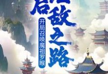 《开局召唤魔祖罗睺，开启无敌之路》叶沐完整版小说免费阅读-推书帮