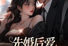 已完结小说《先婚后爱，总裁乖乖躺好》章节在线阅读-推书帮