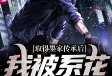 小说完整版《取得墨家传承后，我被系花盯上了》免费阅读-推书帮