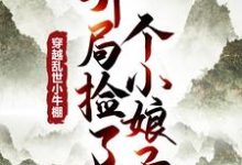 在线寻找逍遥布衣：从酿酒开始小说的无删减版本-推书帮