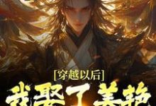 《穿越以后，我娶了美艳宗主当老婆》小说免费阅读完整版-推书帮