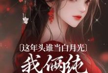 完结版《这年头谁当白月光，我俩纯纯走剧情》在线免费阅读-推书帮