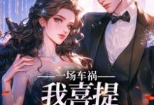 完结版《一场车祸，我喜提妻女一双？》章节阅读-推书帮