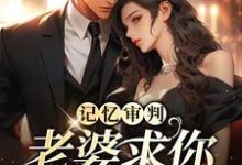 在线寻找记忆审判：老婆求你看我一眼小说的无删减版本-推书帮