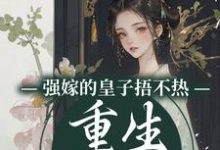 完整版《强嫁的皇子捂不热，重生她不要了》小说免费阅读-推书帮