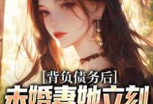 苏航小说背负债务后，未婚妻她立刻提了退婚完整版阅读-推书帮