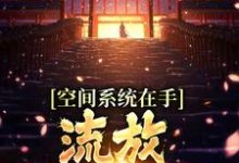 《空间系统在手，流放帝王不愁》小说大结局免费试读 楚江金城公小说-推书帮