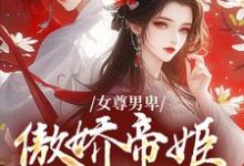 小说《女尊男卑：傲娇帝姬想做女帝》在线章节阅读-推书帮