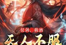 完结版《仗剑，载酒，天人不服先斩翻》章节阅读-推书帮