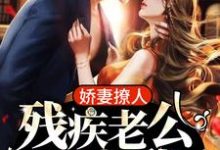 阮辞司沉夜完整版《娇妻撩人：残疾老公快宠我》小说免费阅读-推书帮