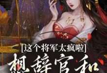 完结版《这个将军太疯啦，想辞官和夫人贴贴》在线免费阅读-推书帮