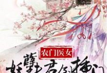 已完结小说《农家医女：妖孽夫君倒插门》在线章节阅读-推书帮