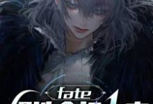 完整版《fate：织造命运之夜》小说免费阅读-推书帮