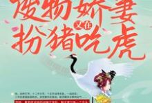 《战王接嫁：废物娇妻又在扮猪吃虎》小说席然阎恒章节章节免费在线阅读-推书帮