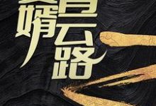 赘婿青云路章节免费在线阅读，安江秦盼儿完结版-推书帮