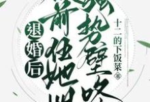 《退婚后，被前任她姐强势壁咚》小说免费阅读完整版-推书帮